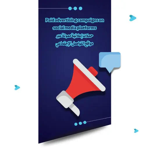Paid advertising campaigns on social media